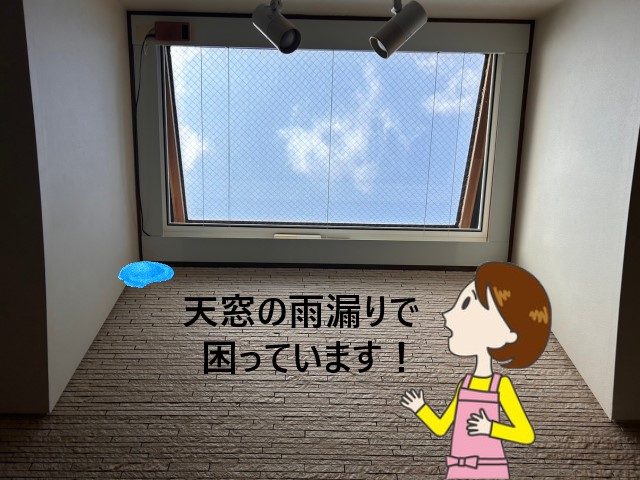 天窓の雨漏りで困っているお客様
