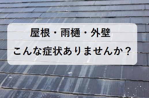 寒波の後に凍害被害はありませんか