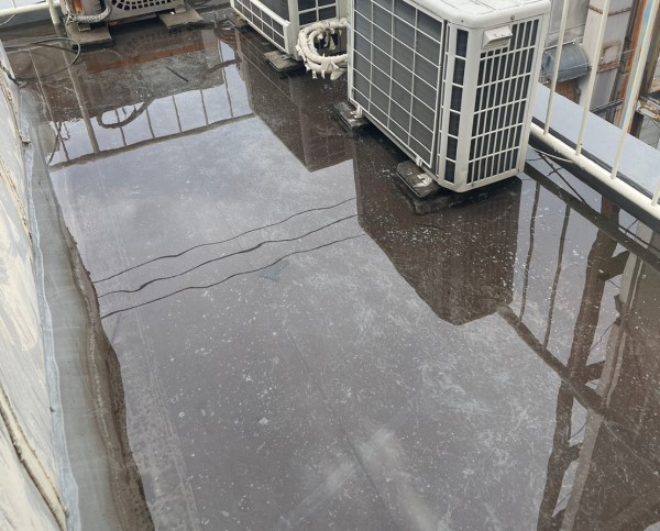 屋上に雨水が溜まってプールのような状態になっている