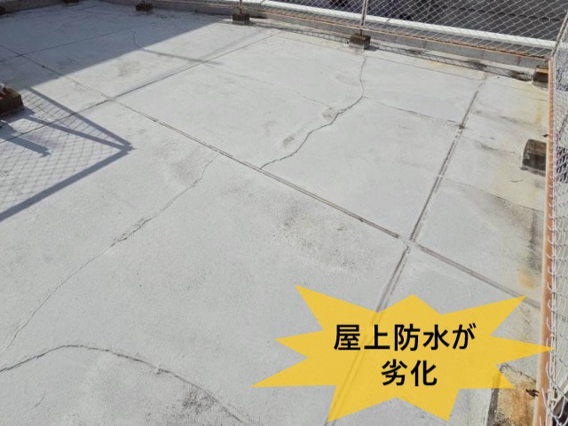 屋上防水が劣化