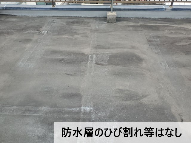 屋上防水にヒビ割れなどはなし