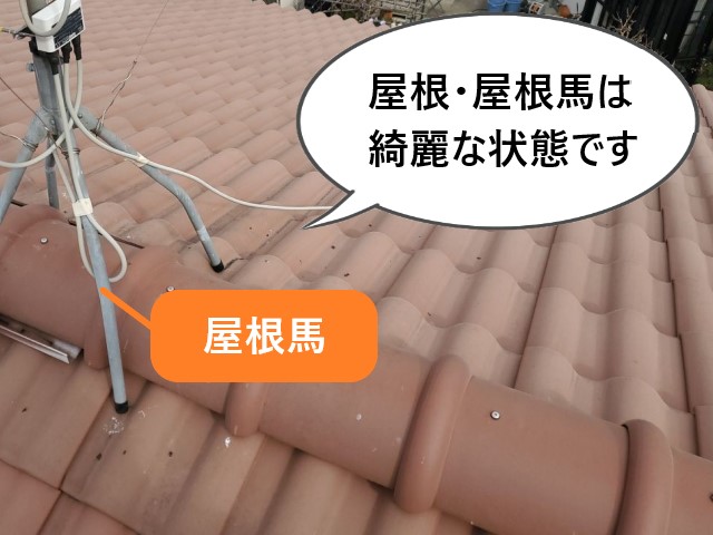 屋根・屋根馬は異常なし
