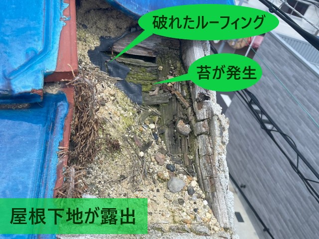 屋根下地が露出