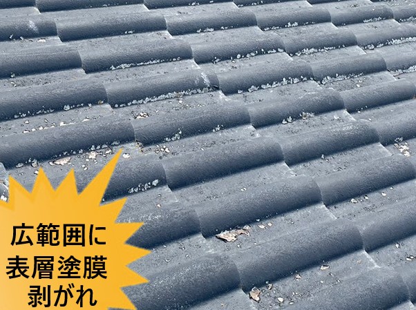 広範囲に表層塗膜剥がれが見られます