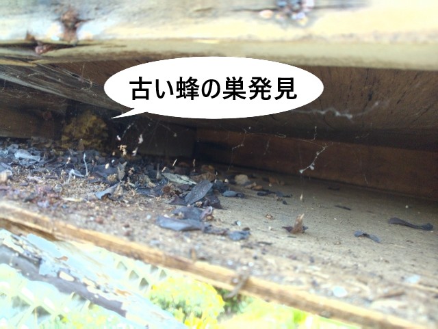 庇の内部 古い蜂の巣発見