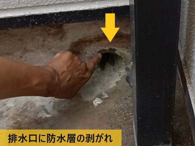 排水口に防水層の剥がれ