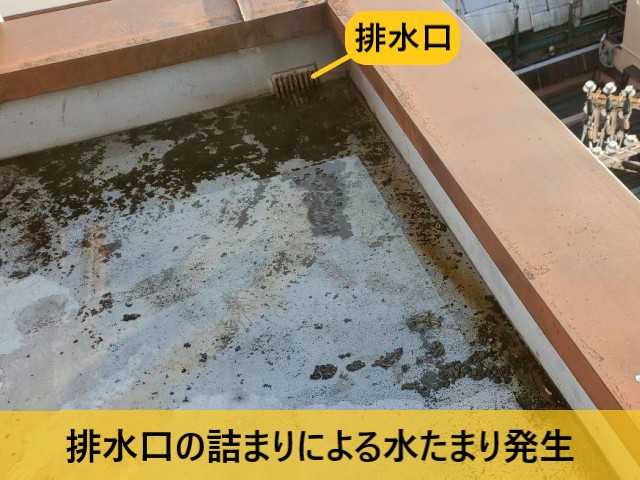 排水口の詰まりによる水たまり発生