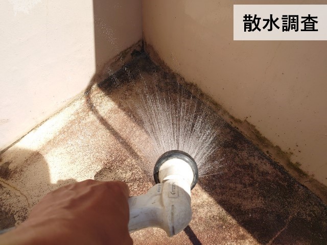 散水調査