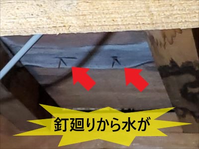 散水調査で原因特定