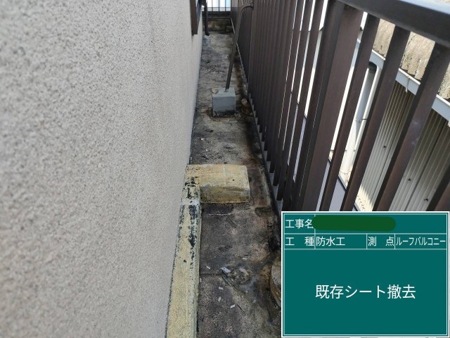 既存シート撤去