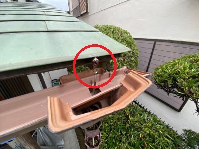 既存鎖樋固定状況