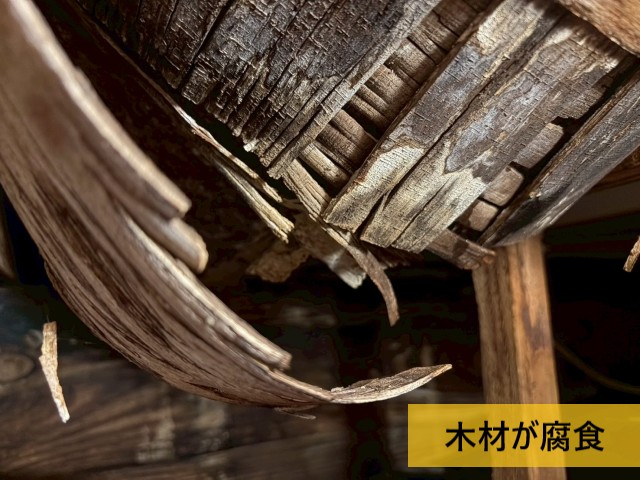 木材が腐食