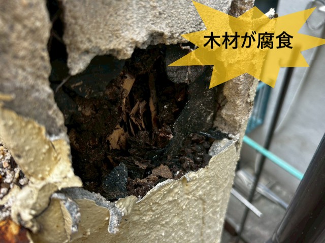 木材が腐食