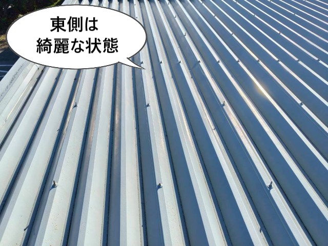 東側はきれいな状態