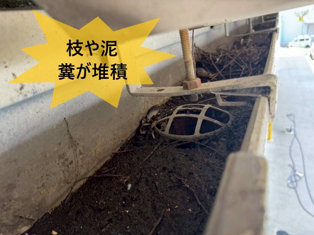 枝や泥や糞が堆積