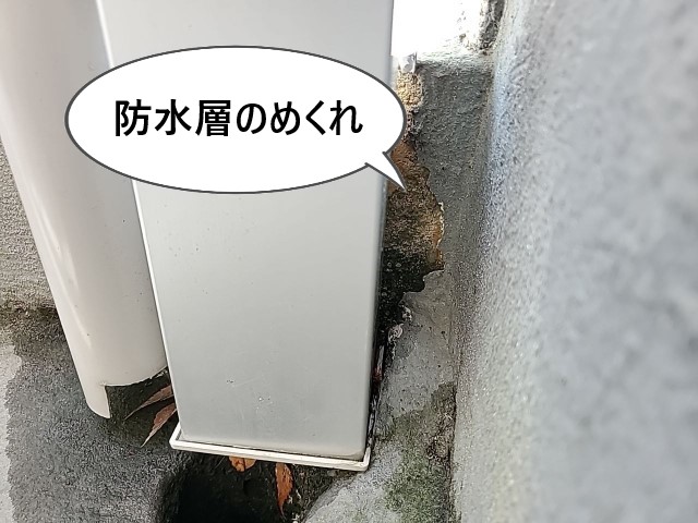 柱の後ろに防水層のめくれ