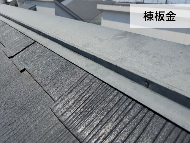 棟板金