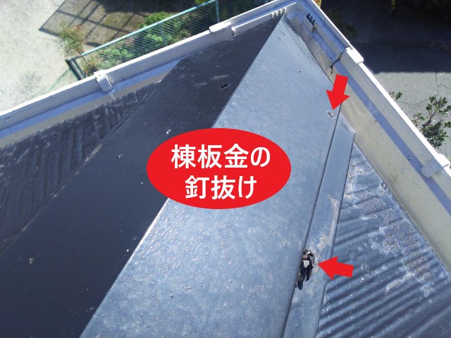 棟板金の釘抜け