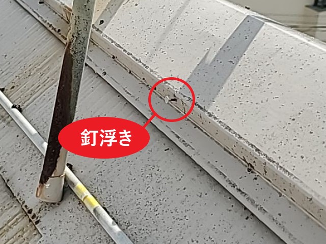 棟板金の釘浮き