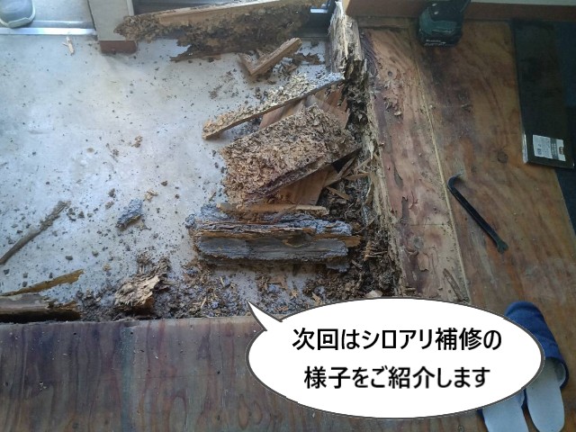 次回はシロアリ補修