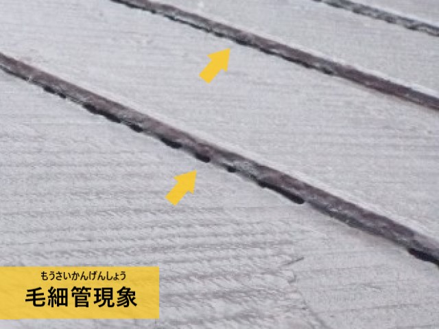 毛細管現象