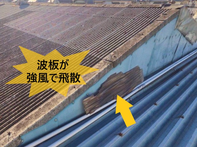 波板が強風で飛散