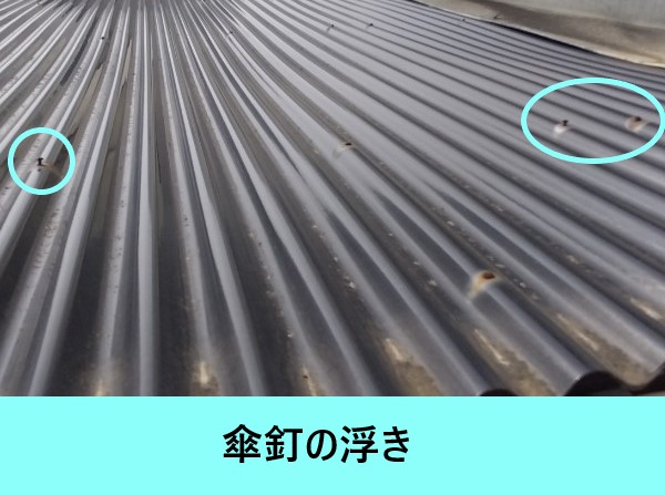 波板を固定すす傘釘が抜けていた