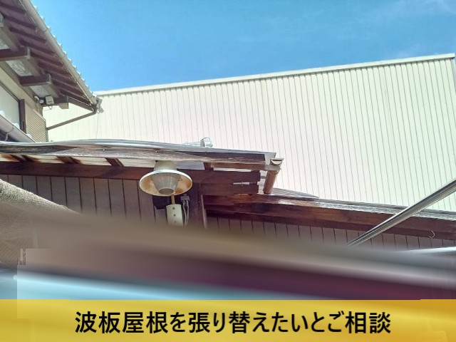 波板屋根を張り替えたいとご相談