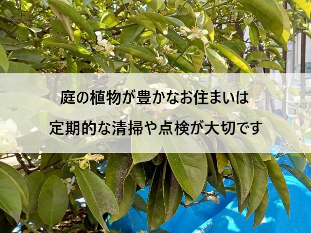 清掃・点検のおすすめ