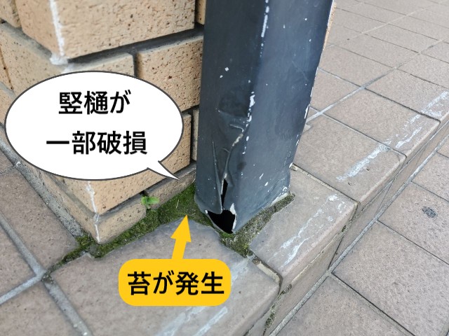 竪樋が一部破損