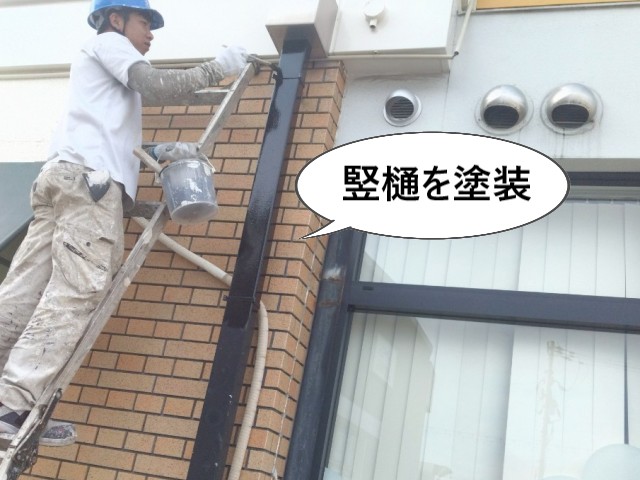 竪樋を塗装