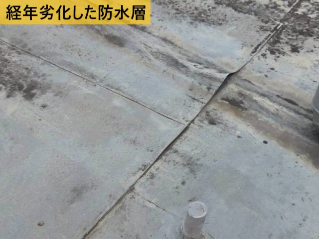 経年劣化した防水層