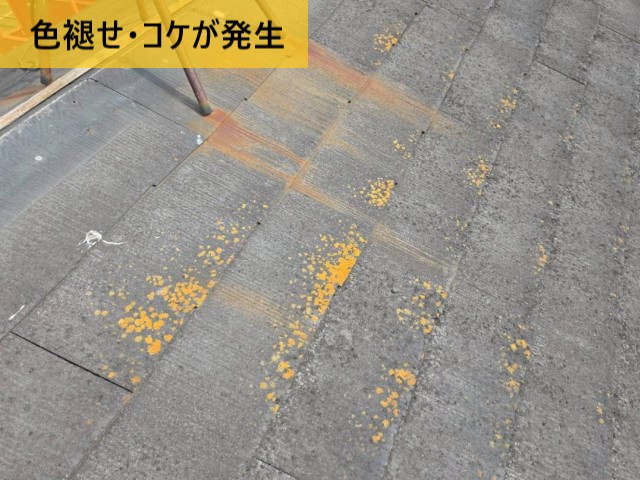 色褪せ・コケが発生