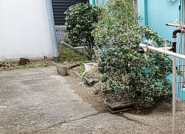 花壇の植栽や雑草を除去