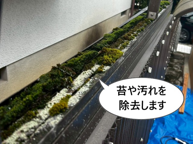 苔や汚れを除去