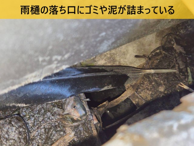 落ち口にゴミや泥