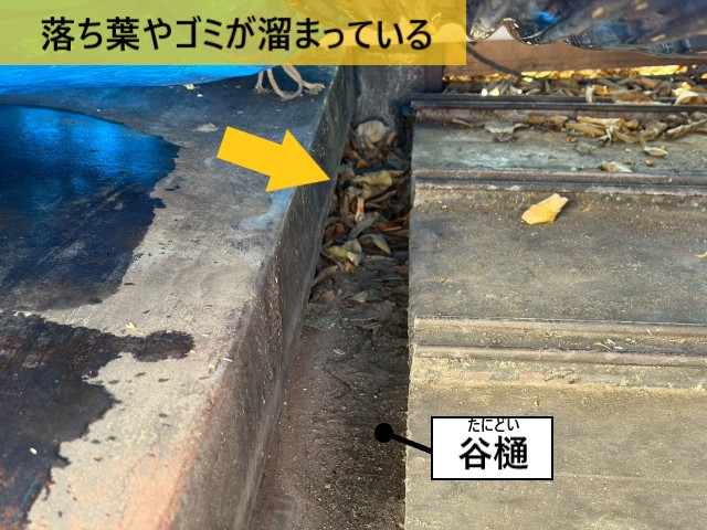 落ち葉やゴミが溜まっている