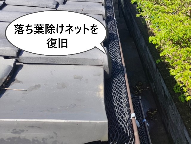 落ち葉除けネットを復旧