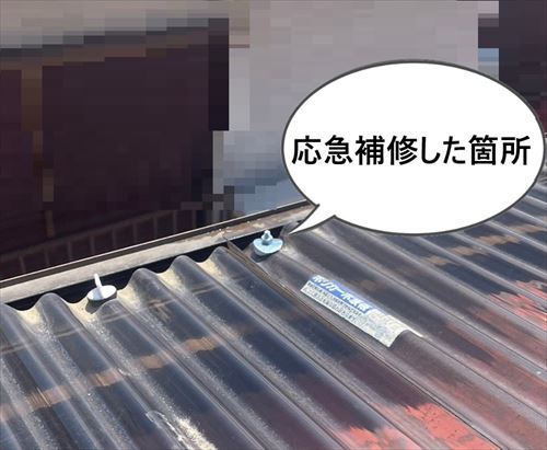 応急処置した波板