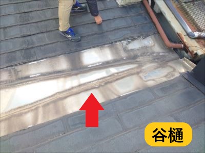 谷樋