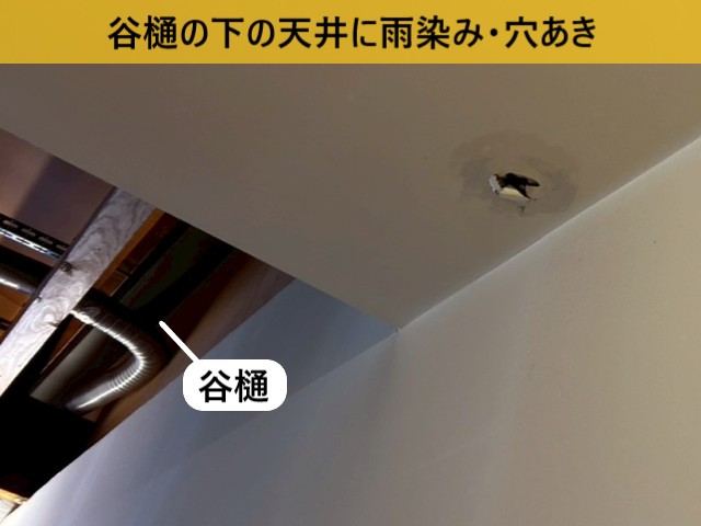 谷樋の下の天井に雨染み・穴あき