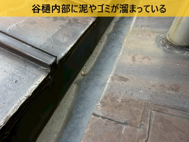 谷樋内部に泥やゴミが溜まっている