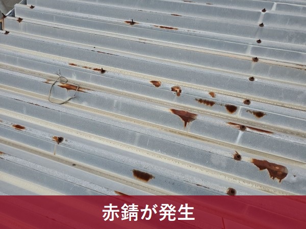 赤錆が発生した折半屋根