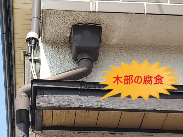 軒先木部の腐食