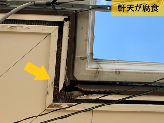 軒天が腐食