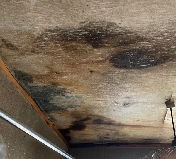 防水の劣化により雨漏りしている天井