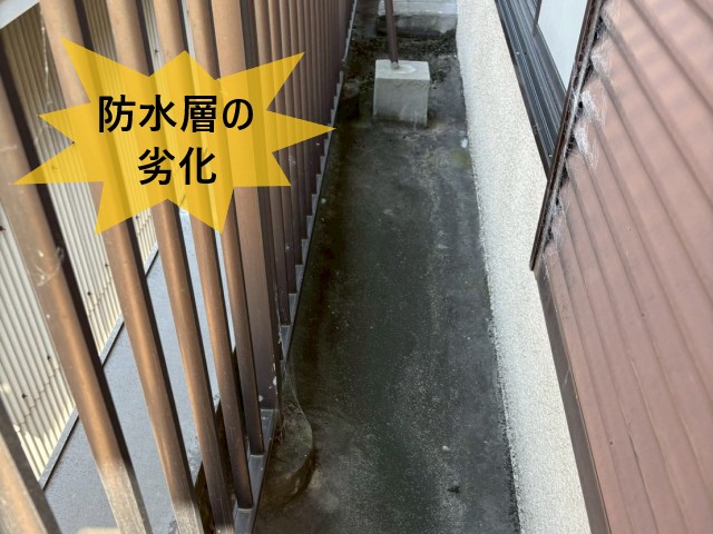 防水層の劣化