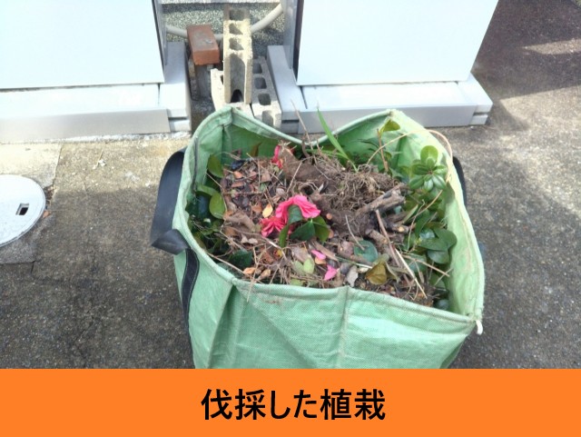 除去した植栽