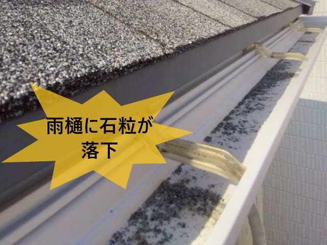 雨樋に石粒が落下