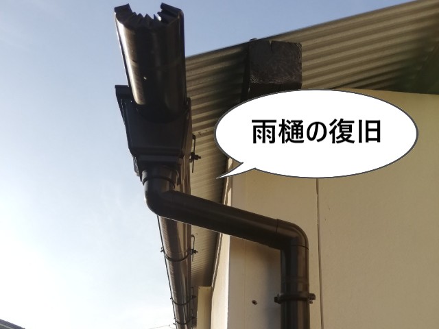 雨樋の復旧